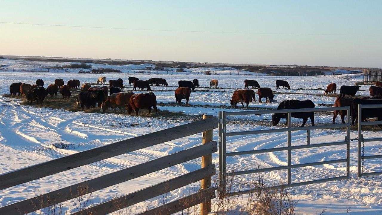 Anna'S Prairie Comfort B & B Moose Jaw Ngoại thất bức ảnh